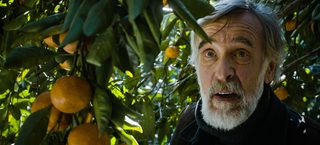 Tangerines still 3