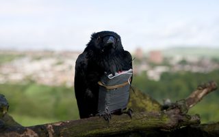 Four Lions still 1