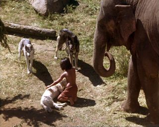 The Jungle Book: Mowgli's Story still 5