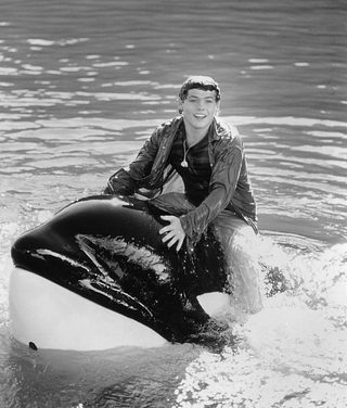 Free Willy 3: The Rescue still 2