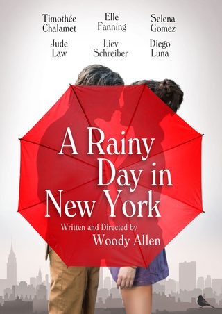 A Rainy Day in New York still 7