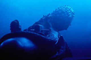 Octopus still 6