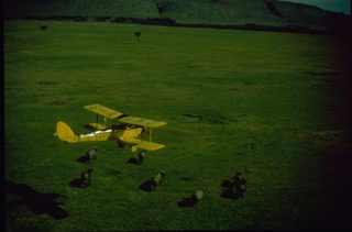 Out of Africa still 5