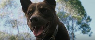 Love and Monsters still 5