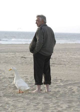 Duck still 4