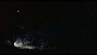 Ghost Warrior still 4