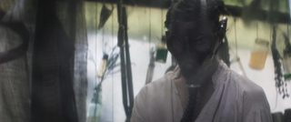 Glasshouse still 7