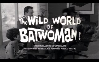 The Wild World of Batwoman still 1