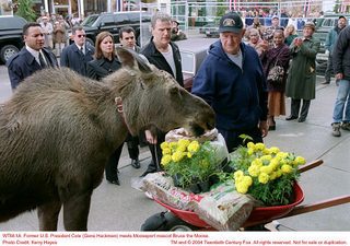 Welcome to Mooseport still 3