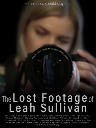 The Lost Footage of Leah Sullivan still 7