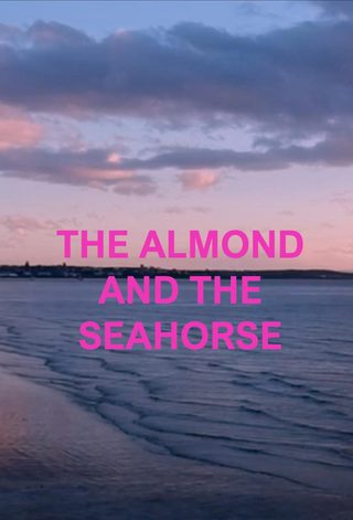 The Almond and the Seahorse still 2