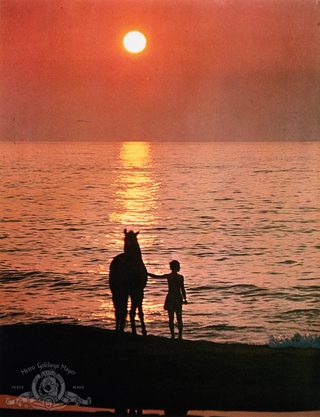 The Black Stallion still 5
