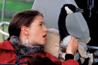 Fly Away Home still 5