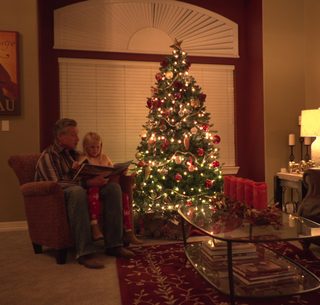 Colorado Christmas still 5