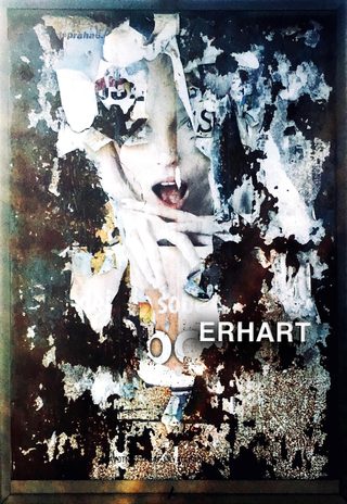 Erhart still 7