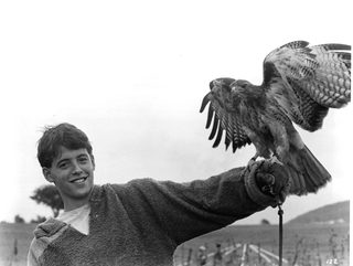 Ladyhawke still 2