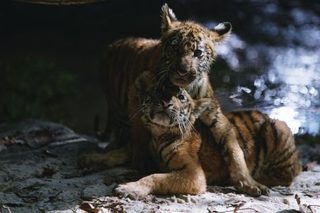 Two Brothers still 6