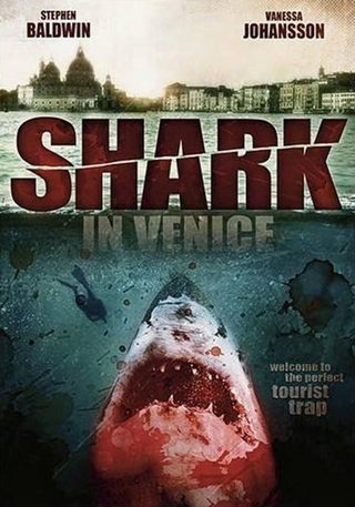 Sharks in Venice still 6