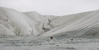 Fauve still 2