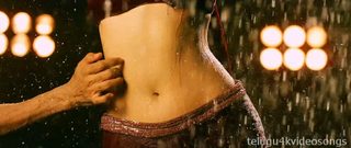 Bengal Tiger still 4