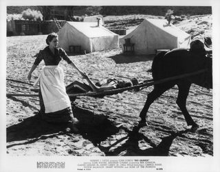 Rio Grande still 3