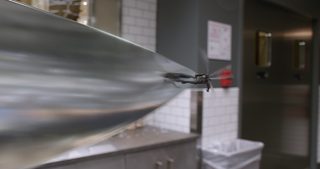 Ant-Man and the Wasp still 4