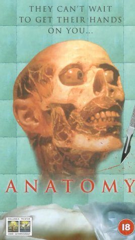 Anatomy still 3