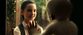Snowflake, the White Gorilla still 4