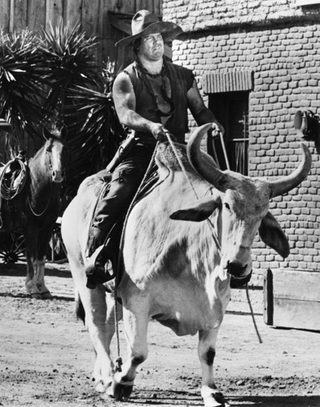 Blazing Saddles still 2