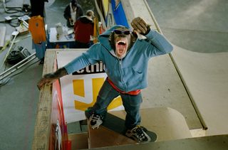 MVP: Most Vertical Primate still 4