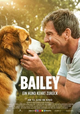 A Dog's Journey still 6