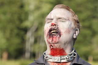 Fido still 1