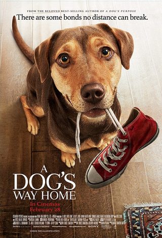 A Dog's Way Home still 2