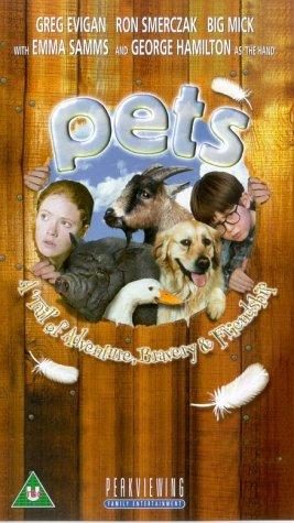 Pets still 2
