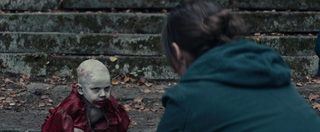 Stray still 6