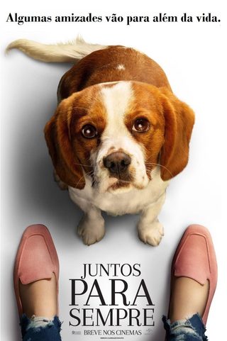A Dog's Journey still 5