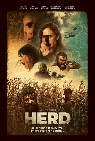 Herd still 5