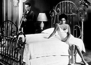 Cat on a Hot Tin Roof still 7