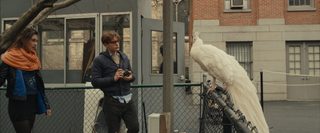I Origins still 6