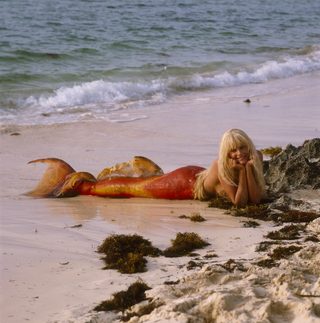 Splash still 4