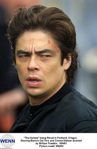 Benicio Del Toro