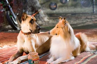 Marmaduke still 2