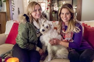 Switched for Christmas still 8