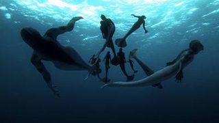 Mermaids: The Body Found still 6