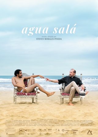 Salt Water still 4