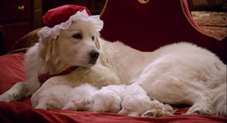 Santa Paws 2: The Santa Pups still 4
