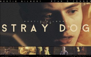 Stray Dog still 2