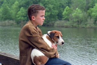 My Dog Skip still 1