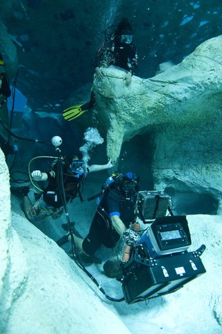 Sanctum still 5