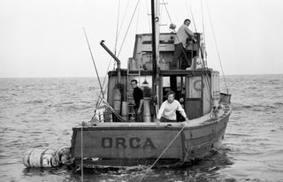 Jaws still 1